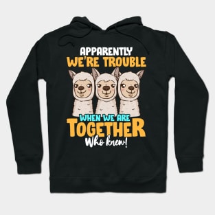 Apparently We're Trouble When We Are Together! Hoodie